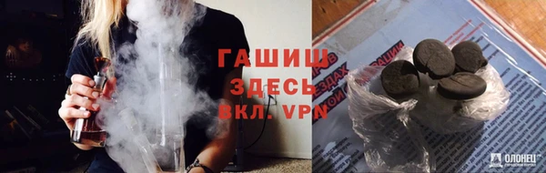 спиды Богданович