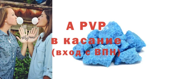 спиды Богданович