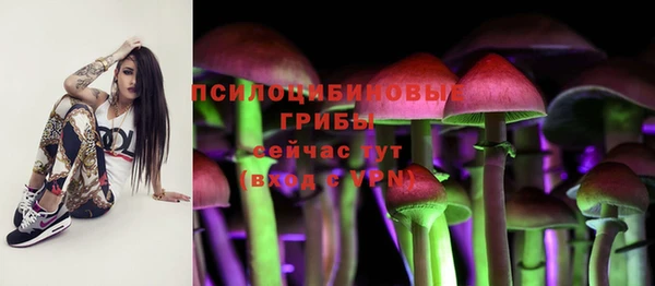 ГАЛЛЮЦИНОГЕННЫЕ ГРИБЫ Богородицк