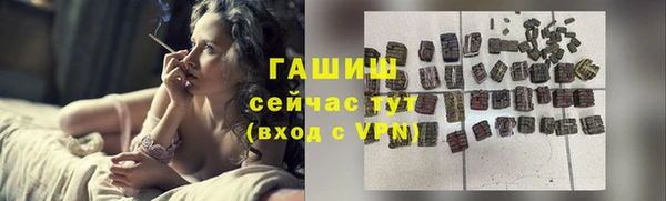 спиды Богданович