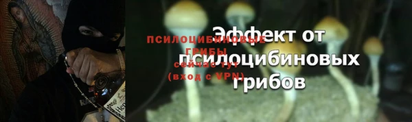 ГАЛЛЮЦИНОГЕННЫЕ ГРИБЫ Богородицк