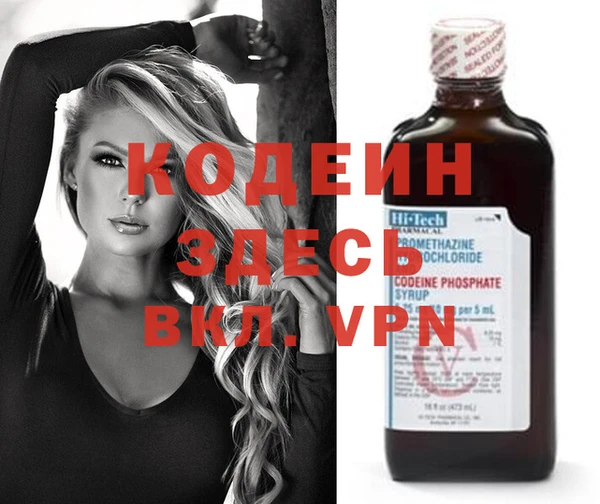 спиды Богданович