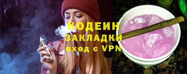 спиды Богданович