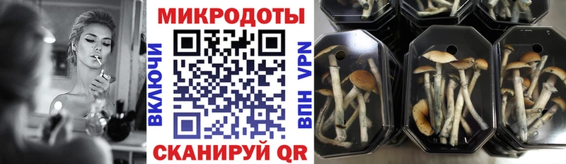 Галлюциногенные грибы Magic Shrooms  Челябинск 